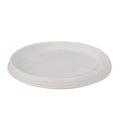 Vaso de plantas