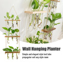 Vaso de plantas com Suporte de Madeira e tubo de vidro - eKoloja