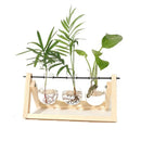 Vaso de plantas