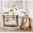 Vaso de plantas