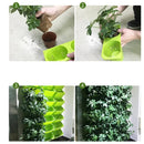 Vaso dVaso de plantase plantas