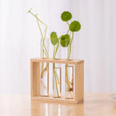 Vaso de plantas