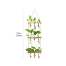Vaso de plantas com Suporte de Madeira e tubo de vidro - eKoloja