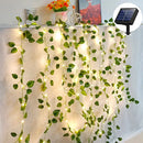 Luzes Solares LED de Cordão 2M 5M 10M - eKoloja