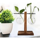 Vaso De Vidro Suporte Madeira Plantador Planta Bonsai