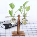 Vaso De Vidro Suporte Madeira Plantador Planta Bonsai
